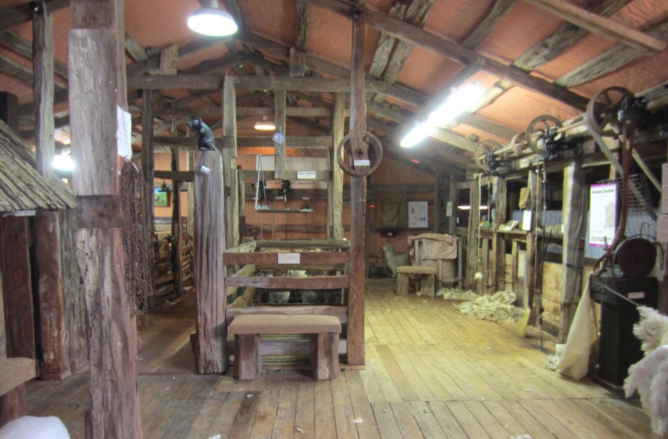 Processed with Rookie