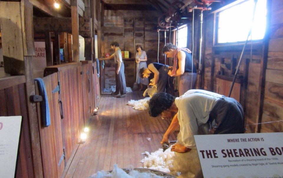 Processed with Rookie