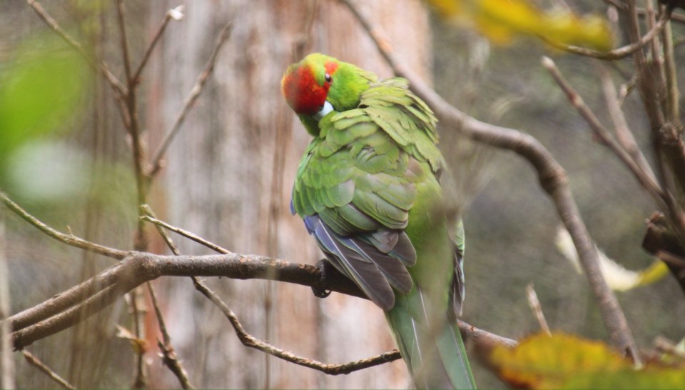 Processed with Rookie