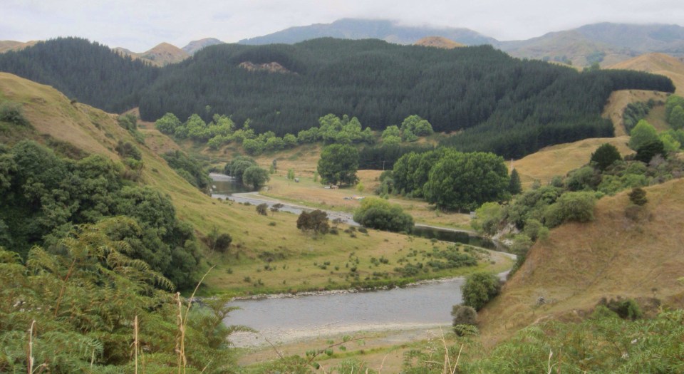 Processed with Rookie