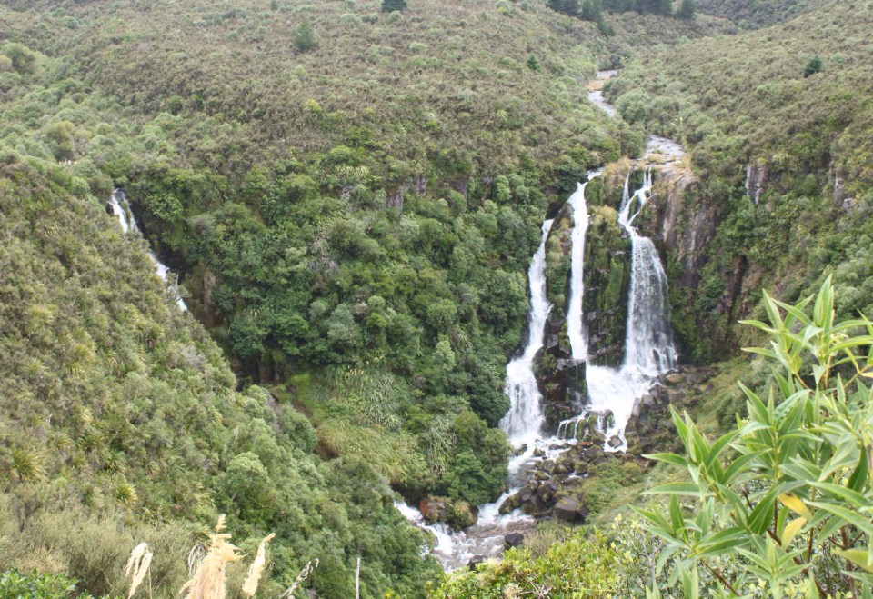 Processed with Rookie