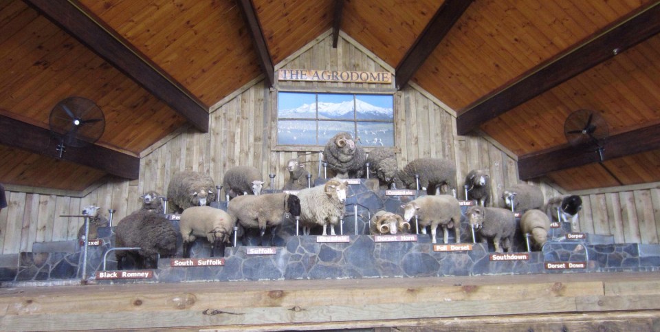 Processed with Rookie