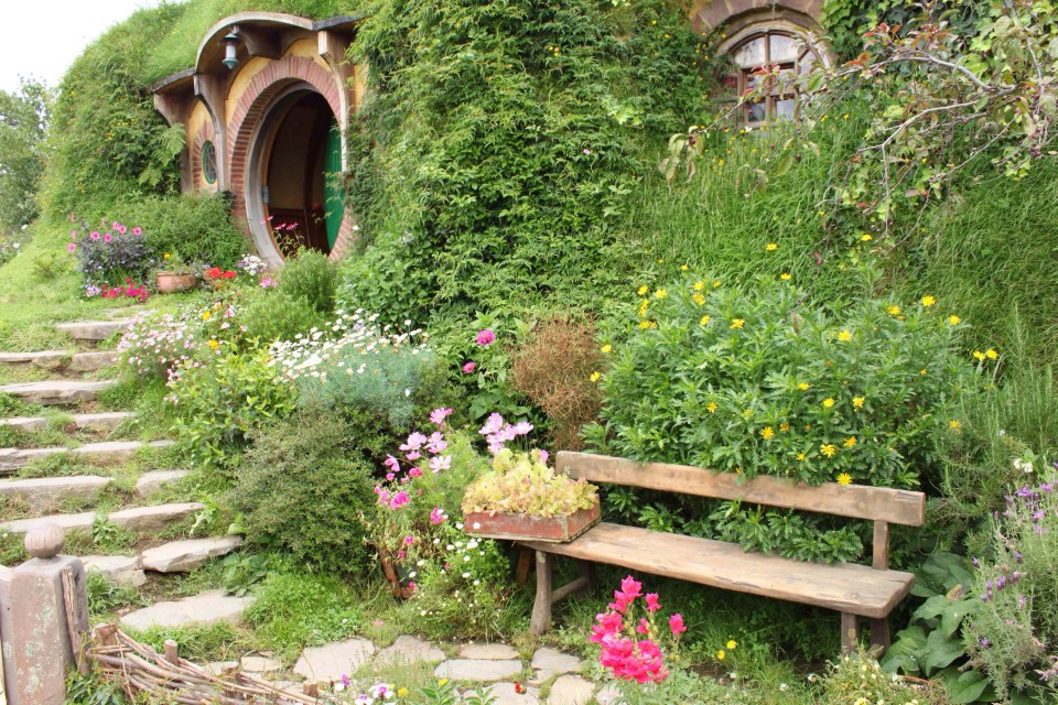 Processed with Rookie