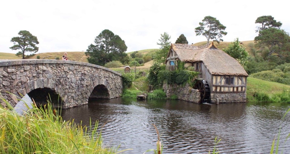 Processed with Rookie