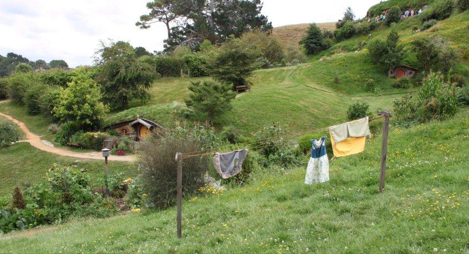 Processed with Rookie