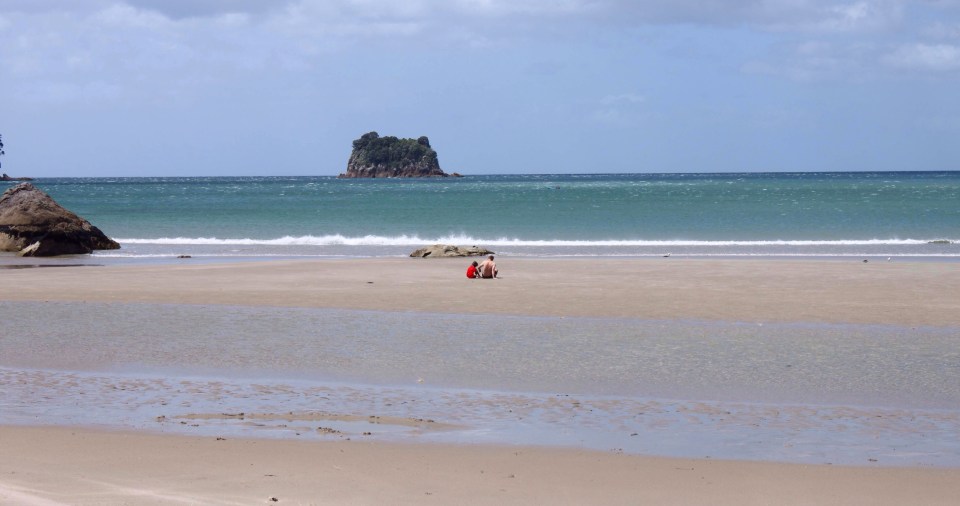 Processed with Rookie