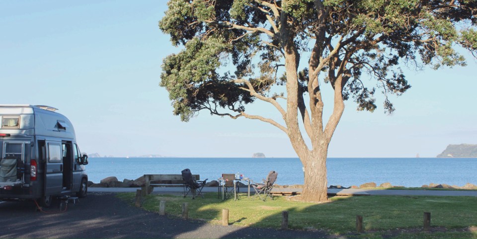 Processed with Rookie