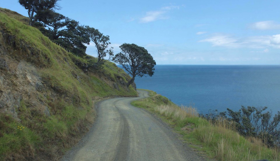 Processed with Rookie