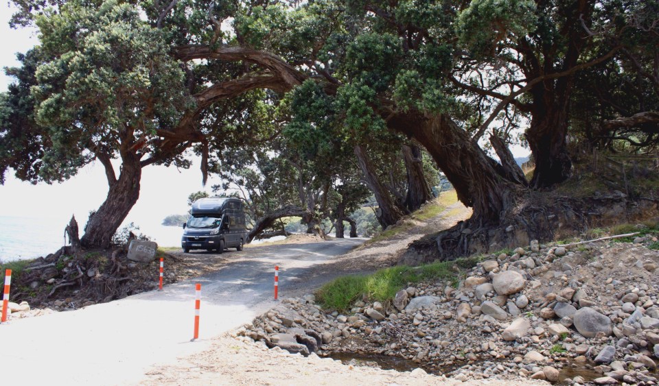 Processed with Rookie