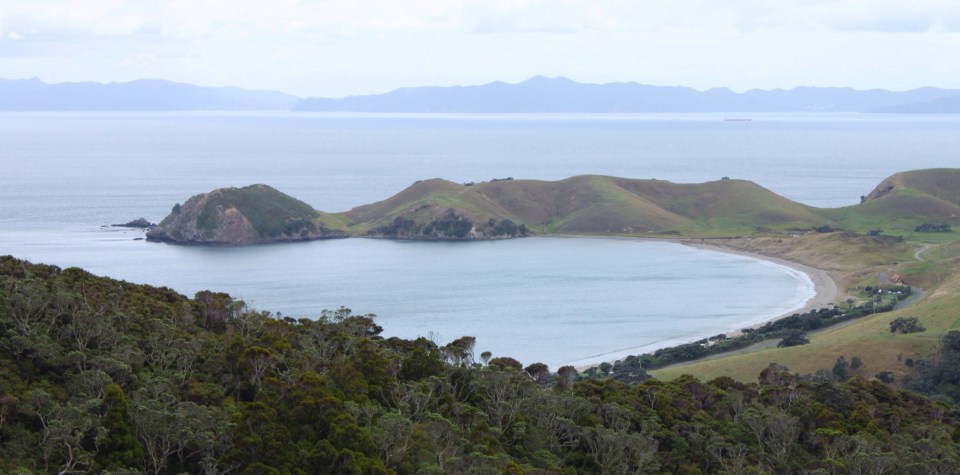 Processed with Rookie