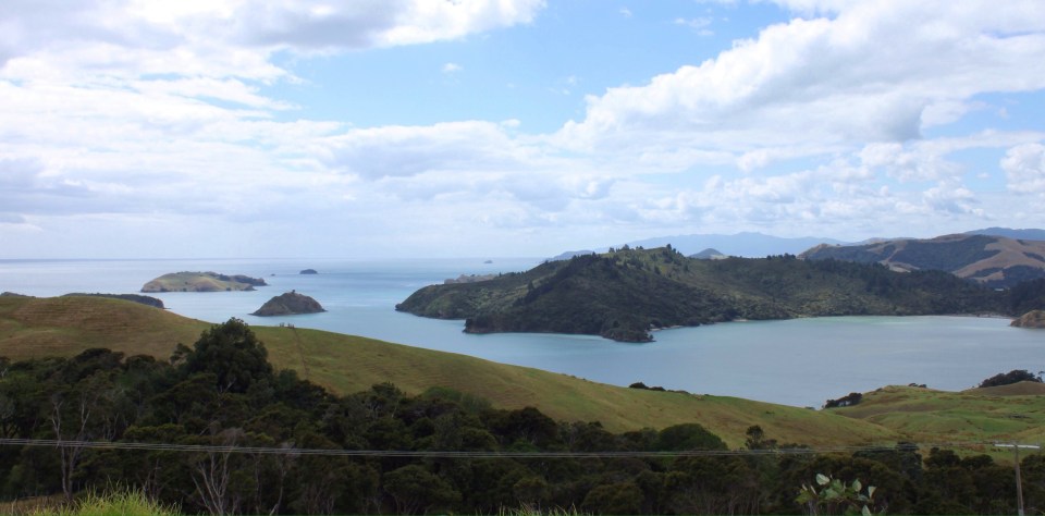 Processed with Rookie