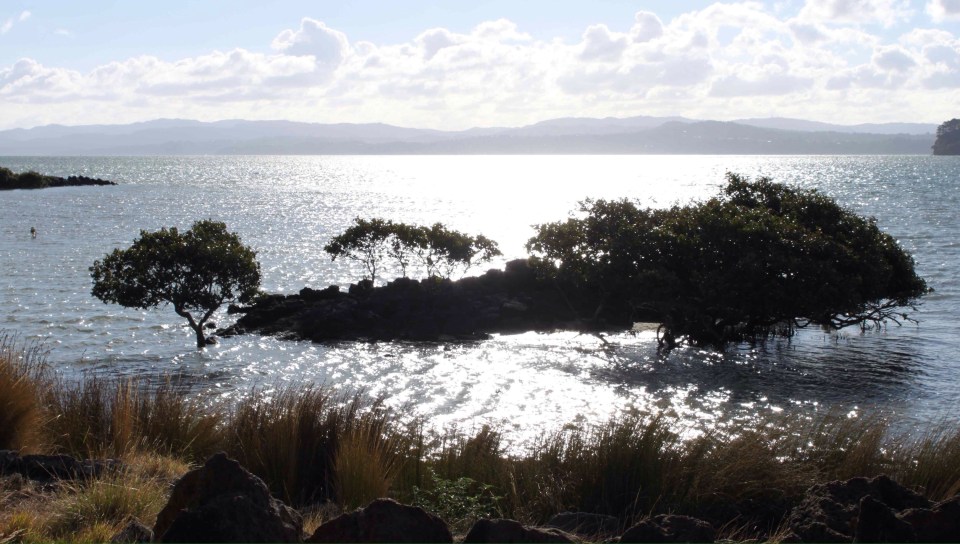 Processed with Rookie