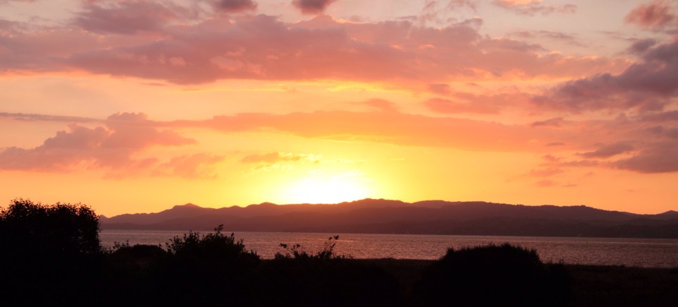 Processed with Rookie